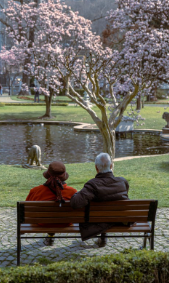 Couple in a park